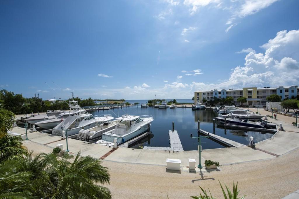 Licensed Mgr - 3/3.5 Modern Villa - Key Largo'S Premier Oceanfront Resort And Marina! エクステリア 写真